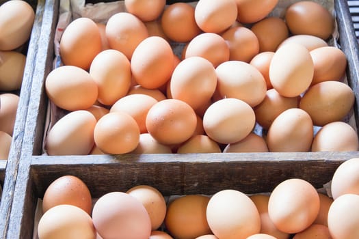 Farm Fresh Brown Chicken Eggs in Wooden Crates at Farmers Market