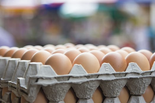 Trays of Chicken Eggs with Bokeh Background