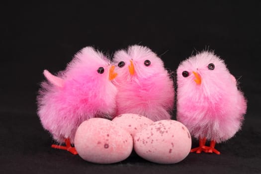 Pink Easter chicks