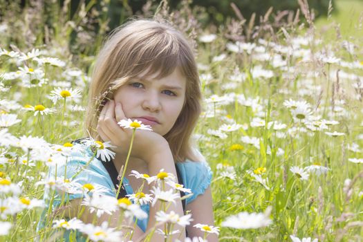 little girl on the meadow in summer day 