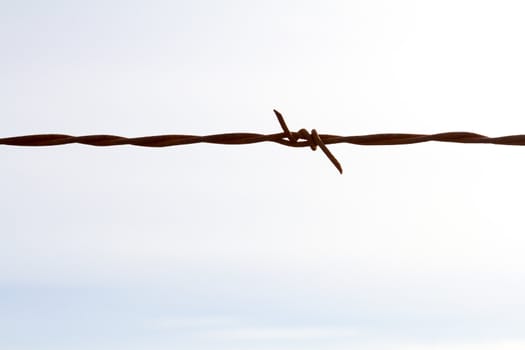 This color image shows nothing but a piece of barbed wire against a cloudy sky to create a very simple abstract background with the fencing.