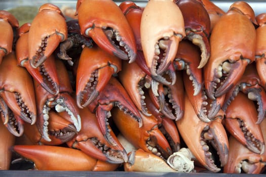 Crab Claws