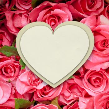 White paper heart form on bouquet of pink roses background