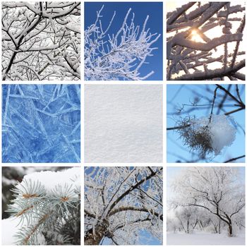 collage with photos of nature at winter