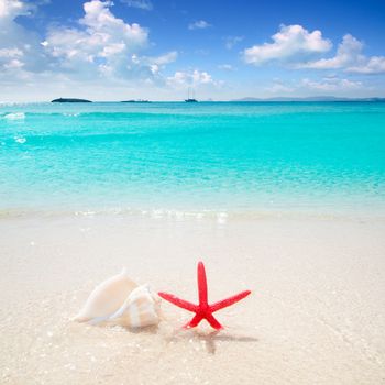 Starfish and seashell in white sand beach with turquoise tropical water