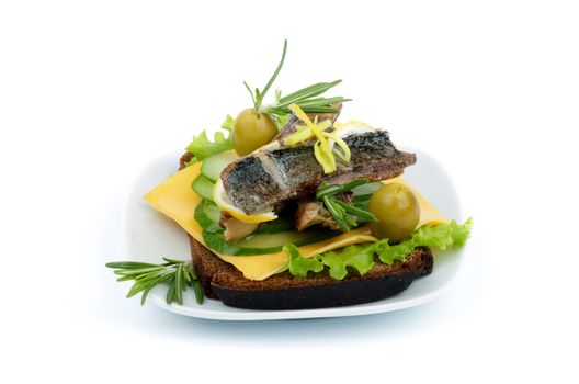 Delicious Snack of Smoked Sardines, Lettuce, Cucumber, Cheese, Olives with Lemon, Rosemary  and Whole Wheat Bread on White Plate isolated on white background