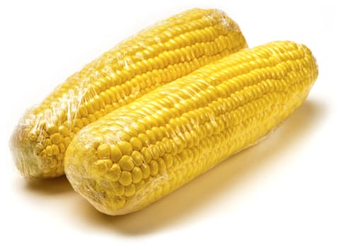 Two fresh ripe yellow corn on cobs with white background. Packed in plastic foil.