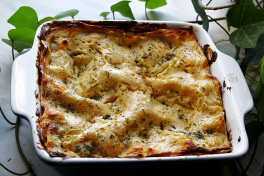 Baked pudding with a mint in greenery from curd