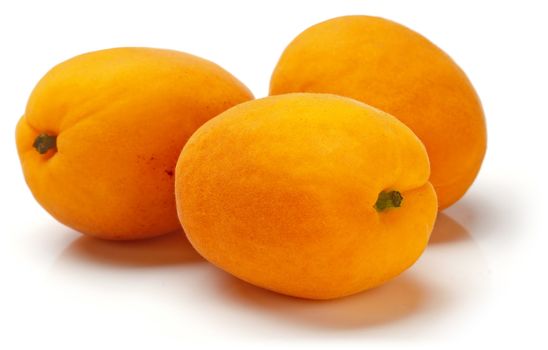 Three fresh mature apricots on white background.