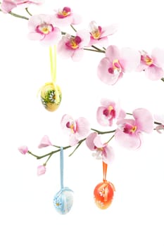 hanged bright color easter eggs with bows on spring flower isolated on white background