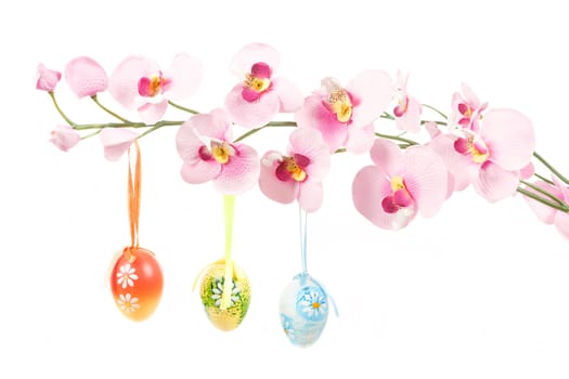 hanged bright color easter eggs with bows on spring flower isolated on white background