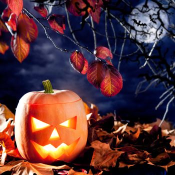 halloween lantern pumpkin in dark sky clouds moonlight