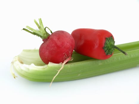 Red radish, pepper and green celery stalk isolated against a white background.