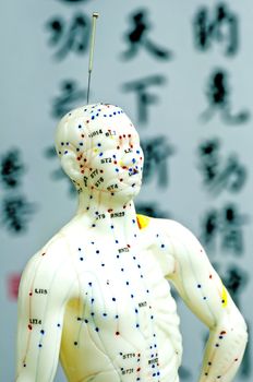 acupuncture demonstration on model