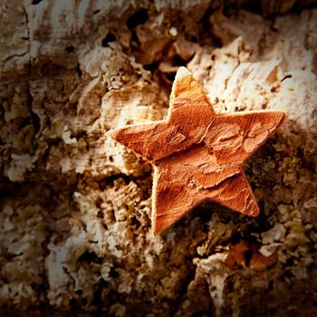 bark star shape christmas symbol on cork background