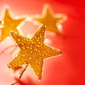 christmas golden drops star in red background