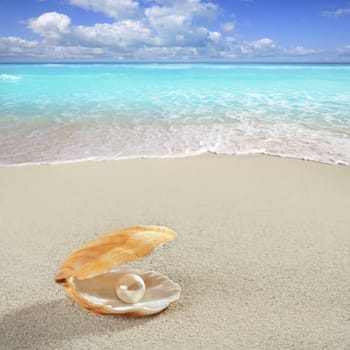 Caribbean pearl inside clam shell over white sand beach