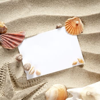 copyspace blank paper on white beach sand summer starfishand and shells