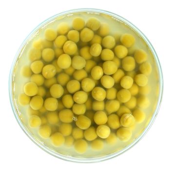 Canned peas on a white background.