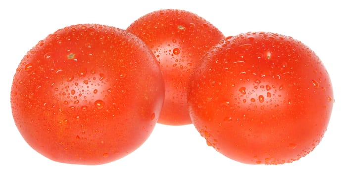 Ripe tomato on a white background.