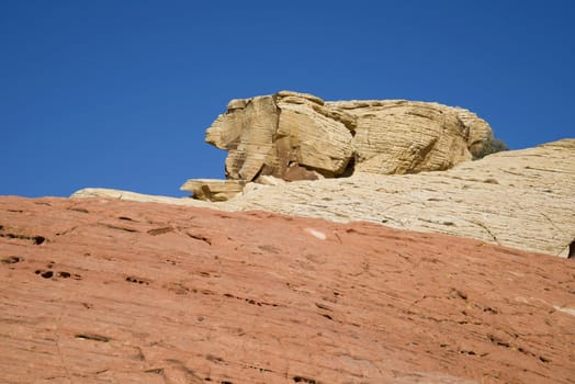 A rabbit shaped rock formation at Red Rock Canyon, Nevada