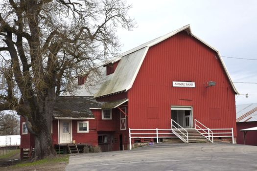 Animal Barn in Suvie Island Oregon.