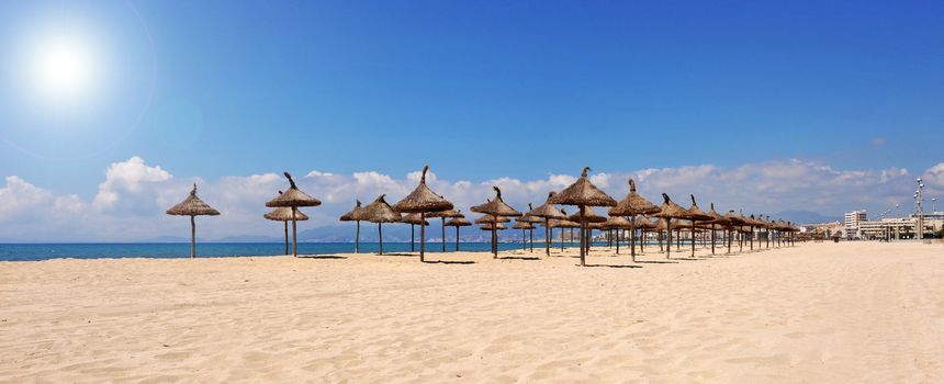 Beach of Palma de Majorque, island near Spain in Europe