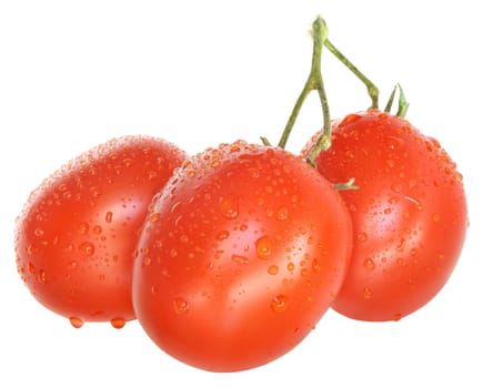 Ripe tomato on a white background.
