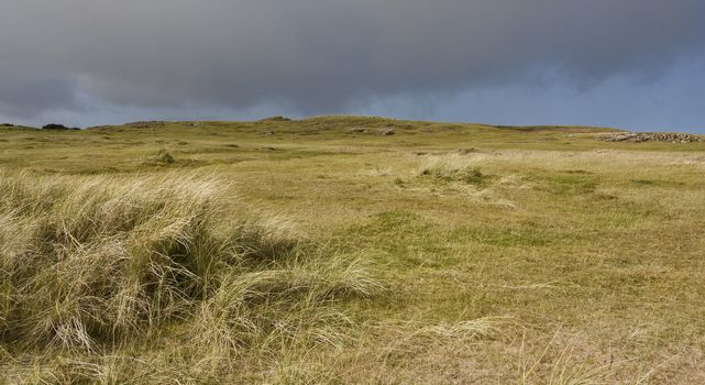 dunes in north scotland with grass and hills in the background