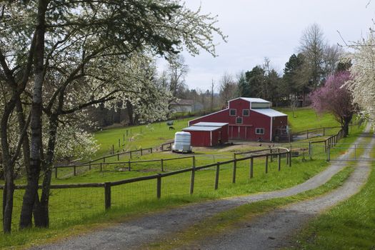 Family farm in Spring in rural Oregon.