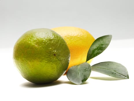 lime and lemon