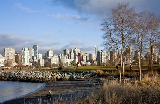 Deep autumn in thre park. Vancouver. Canada.