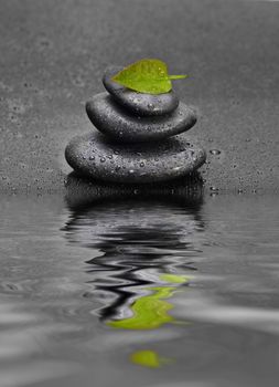 black stone with leaf