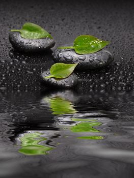 black stone with leaf