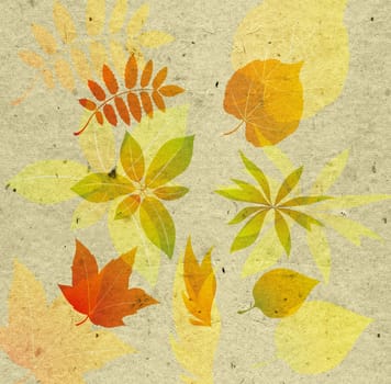 textured background with autumn leaf