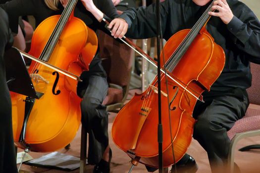 students playing on bass instrument at concert