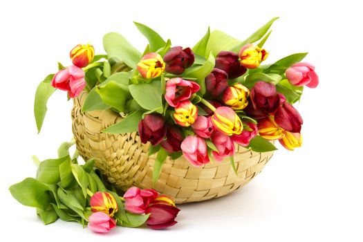 colourful tulips in a basket