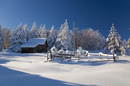Serbia, Divcibare, mountain house in snow