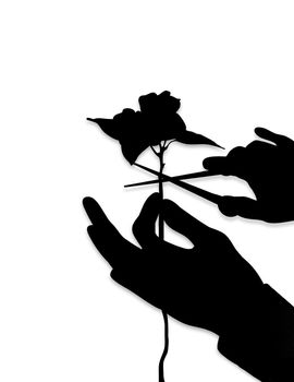 Illustration of hands Pruning a flower