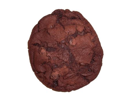 a chocolate cookie