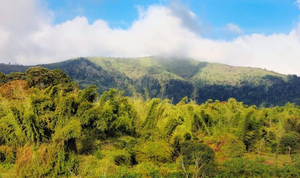 The high green hill was covered clouds