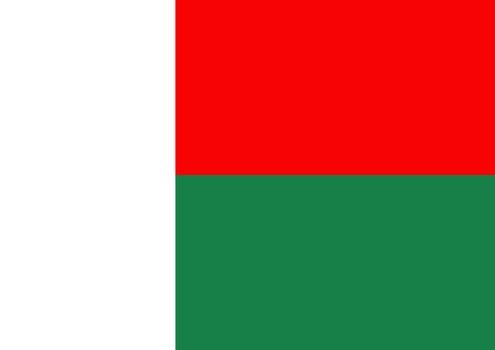 Illustrated flag of Madagascar