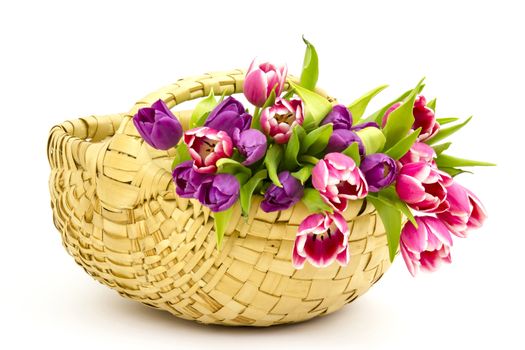 colourful tulips in a basket