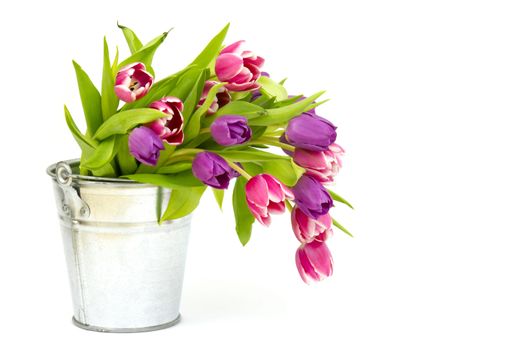 colourful tulips in a bucket