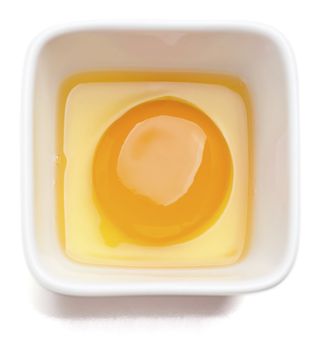 Egg yolk in square cup. Isolated on a white background. 