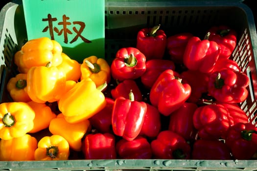 Harvested fresh red and yellow peppers in container for sale in Taiwan