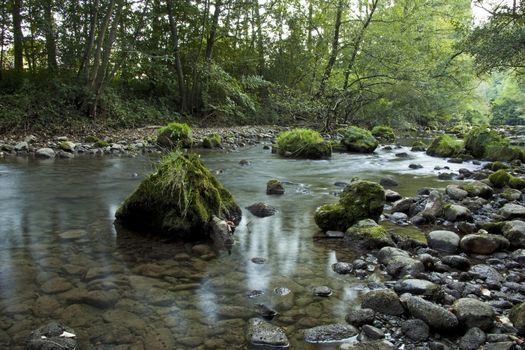 Wooden Roots On Edge Of River