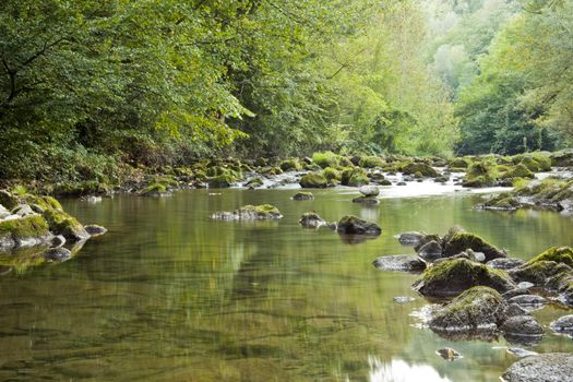 Smal River In Mountain Forest