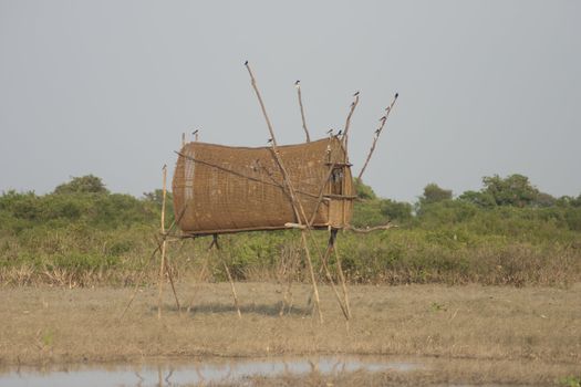 Bird  trap of Thai traditional style