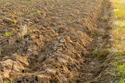 part of plowed field after harvest lit evening sunlight. abandoned rural buildings in distance.